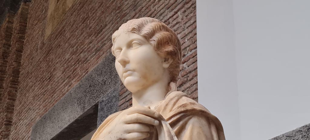 Herculaneum, public area. April 2023.
Detail of white marble “Piccola Ercolanese” type statue of a young woman.
On display in “Campania Romana” gallery of Naples Archaeological Museum, inv. 6244.
Photo courtesy of Giuseppe Ciaramella.